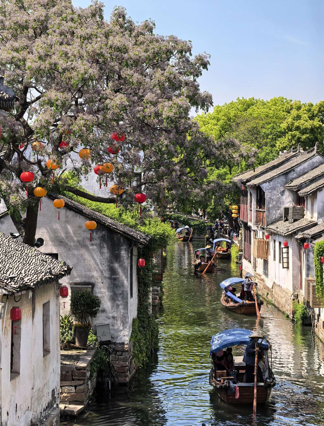 Ink Painting Suzhou | Suzhou Garden Water Town Panoramic Tour Guide