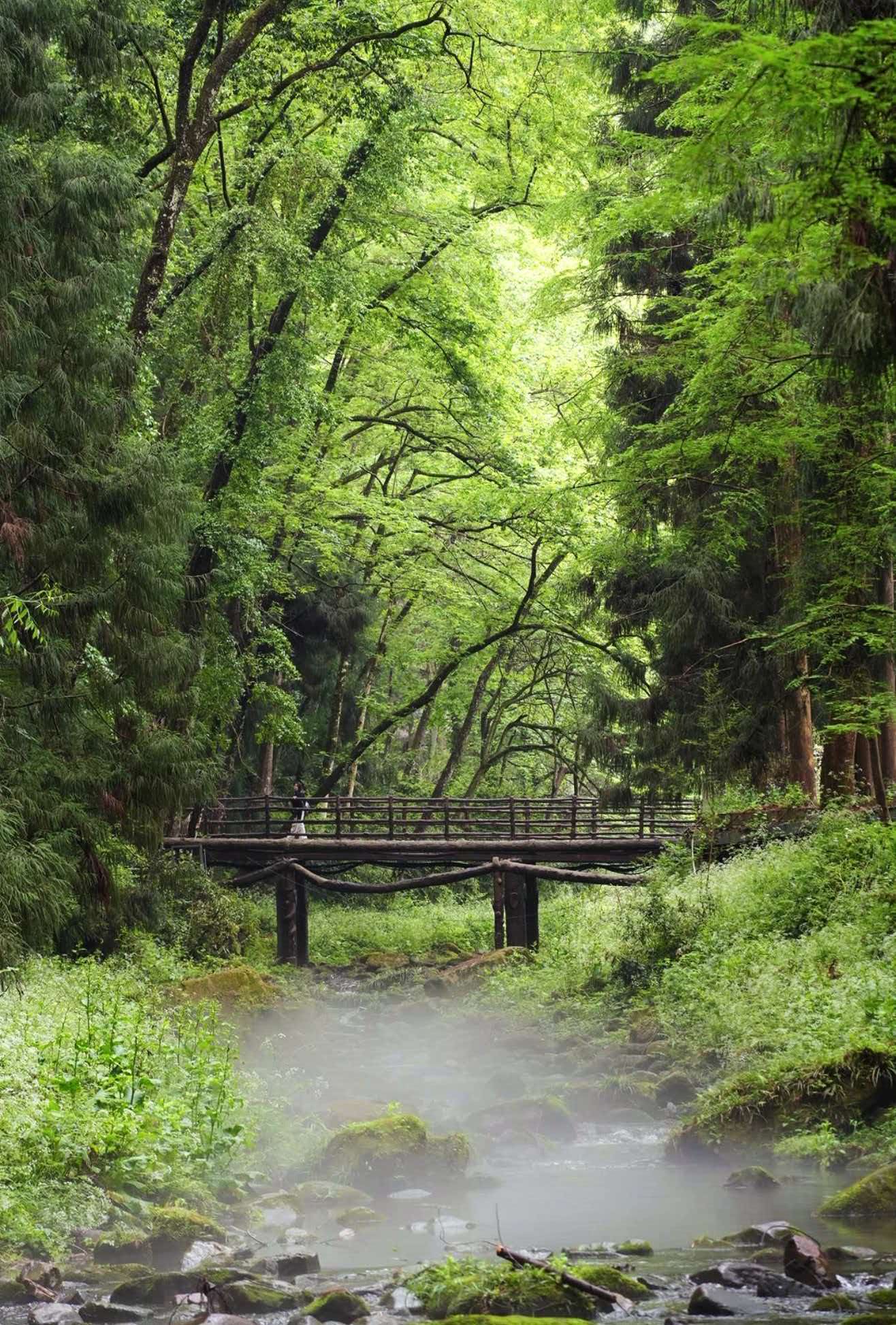 Cloud Sea Wonderland | Zhangjiajie Xiangxi Landscape Folk Travel Guide